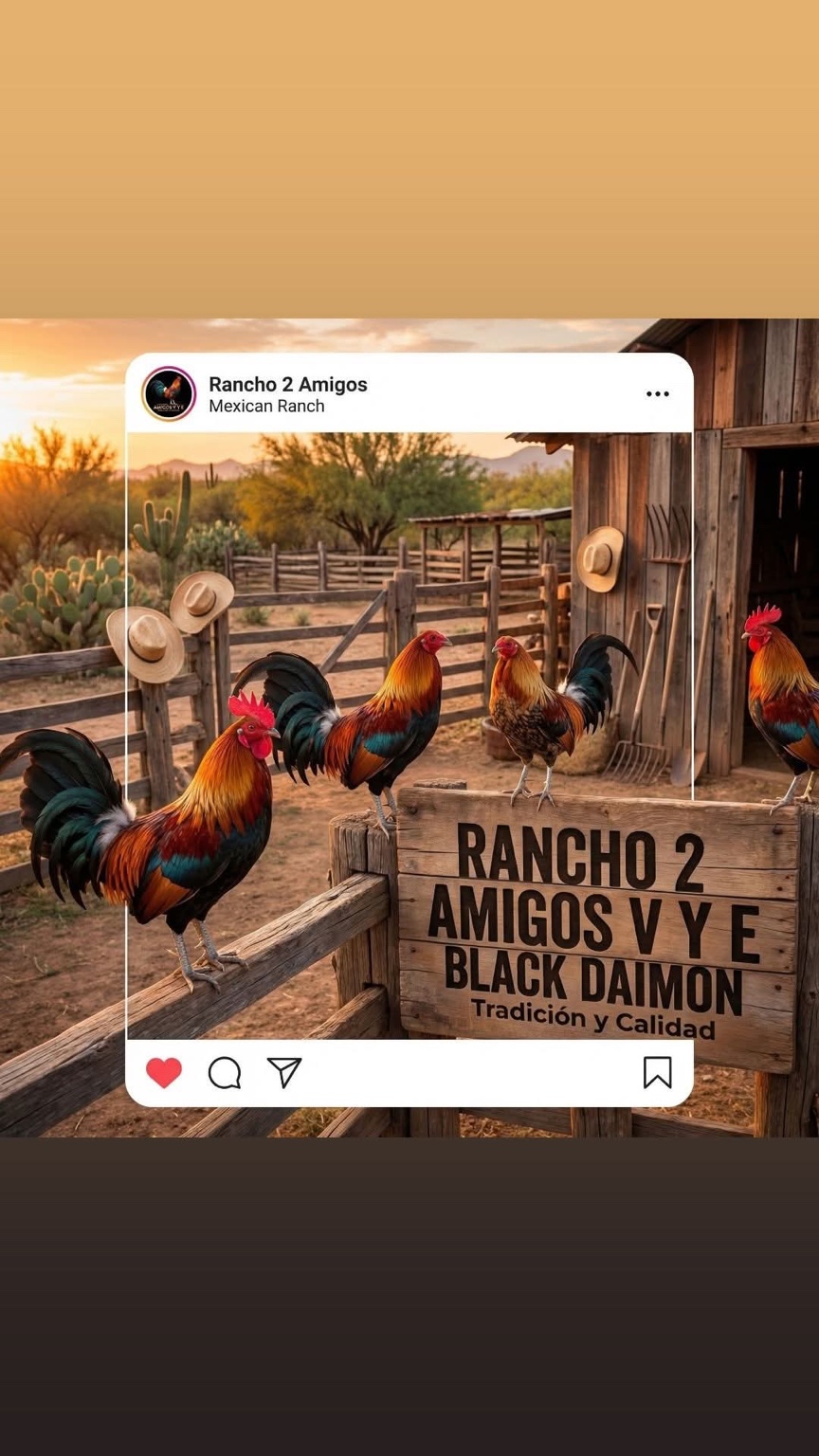 Rancho 2 Amigos V y E